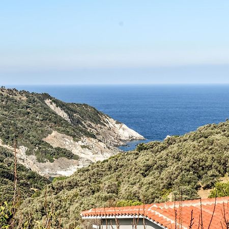 Nest View House Lejlighed Skiathos by Eksteriør billede